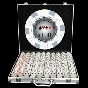 1000 Premium Custom Poker Chip Set - Aluminum Case
