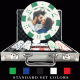 100 Premium Custom Poker Chip Set - Dice